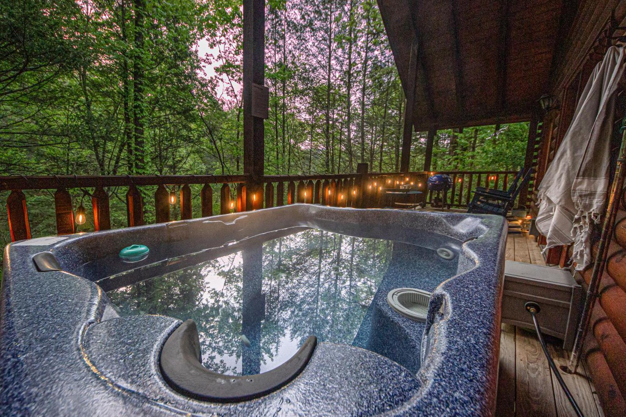 Love Me Tender Studio Cabin Сев'єрвілл Номер фото