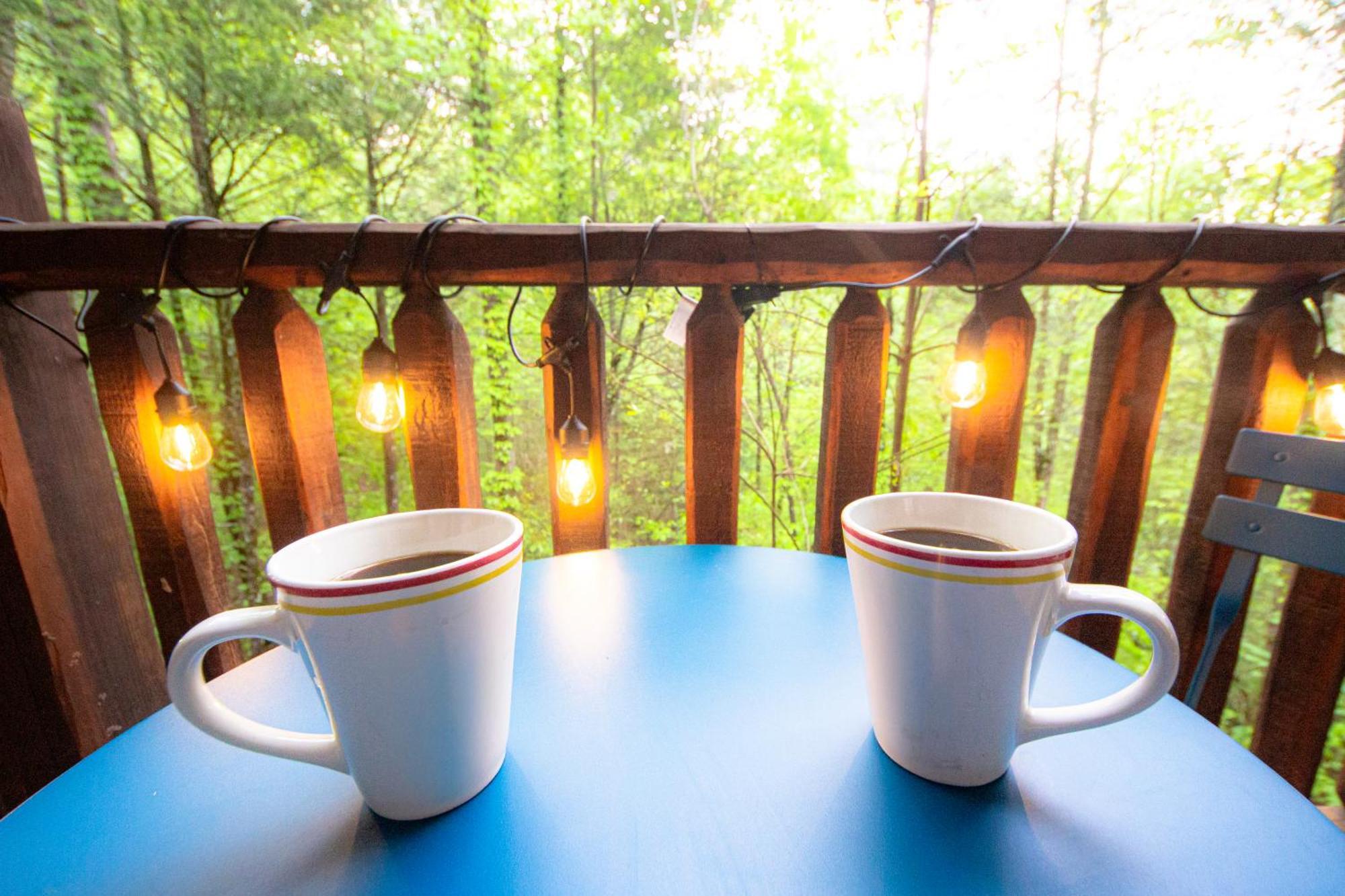 Love Me Tender Studio Cabin Сев'єрвілл Номер фото
